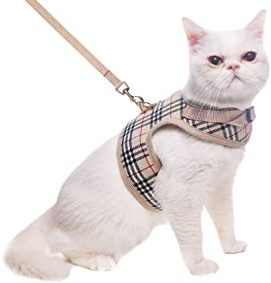 gatitos arnés